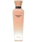 Terracota Musk Adolfo Dominguez for women