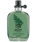 Green Fougère Avon for men