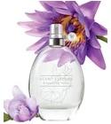 Scent Essence - Blooming Lotus Avon for women