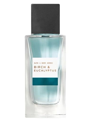 Birch & Eucalyptus Bath & Body Works for men