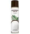 Coconut Palm