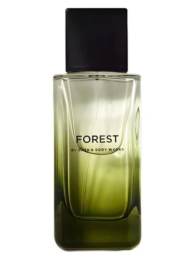 Forest Bath & Body Works for men