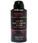 Nocturnal Rose
