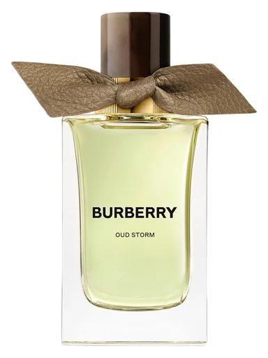 Oud Storm Burberry for women and men