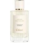 Jasminum Sambac Chloé for women