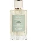 Ylang Cananga Chloé for women and men