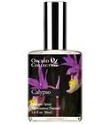 Calypso Orchid