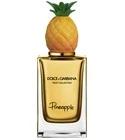 Pineapple Dolce&Gabbana for women and men