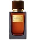 Velvet Amber Sun Dolce&Gabbana for women and men