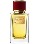 Velvet Desire Dolce&Gabbana for women