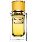 Velvet Ginestra Dolce&Gabbana for women