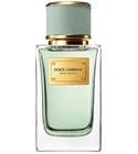 Velvet Infusion Dolce&Gabbana for women and men