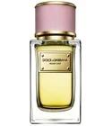 Velvet Love Dolce&Gabbana for women
