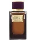 Velvet Passion Oud Dolce&Gabbana for women and men