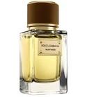 Velvet Wood Dolce&Gabbana for women and men