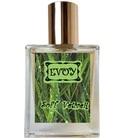 Soft Vetiver