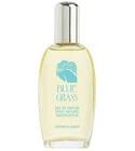 Blue Grass Elizabeth Arden for women