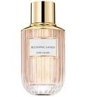 Blushing Sands Estée Lauder for women and men