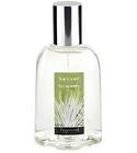Vetiver