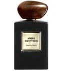 Ambre Eccentrico Giorgio Armani for women and men