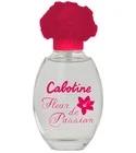 Cabotine Fleur de Passion