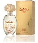Cabotine Gold