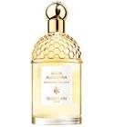 Aqua Allegoria Bergamote Calabria Guerlain for women and men