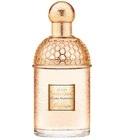 Aqua Allegoria Flora Nymphea Guerlain for women