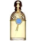 Aqua Allegoria Gentiana Guerlain for women