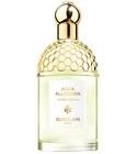Aqua Allegoria Herba Fresca Guerlain for women and men