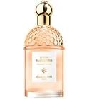 Aqua Allegoria Orange Soleia Guerlain for women and men