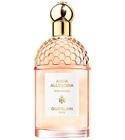 Aqua Allegoria Rosa Rossa Guerlain for women