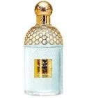 Aqua Allegoria Teazzurra Guerlain for women and men