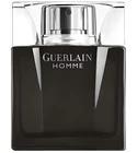 Guerlain Homme Intense Guerlain for men