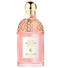 Rosa Rossa Harvest Guerlain for women and men
