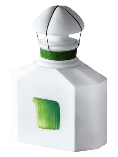 Souvenir d'Orchidée