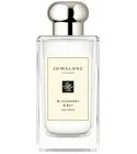 Blackberry & Bay Jo Malone London for women