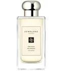 Orange Blossom Jo Malone London for women and men