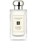 Silver Birch & Lavender Cologne Jo Malone London for women and men