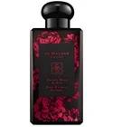 Velvet Rose & Oud Rich Extrait
