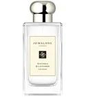 Wisteria & Lavender Jo Malone London for women and men
