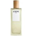 Aire Loewe Loewe for women