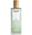 Aire Sutileza Loewe for women