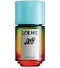 Paula's Ibiza Loewe for women and men