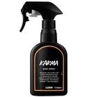 Karma Lush for women and men