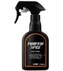 Pumpkin Spice Lush for women and men