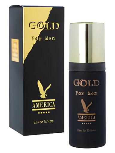 America Gold For Men Milton Lloyd for men