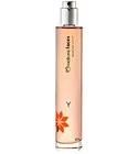 Y Natura for women