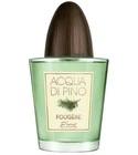 Acqua di Pino Fougere