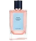 Tainted Love Prada for women and men